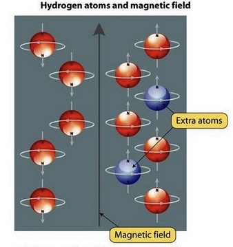 MRI Hydrogen Atoms